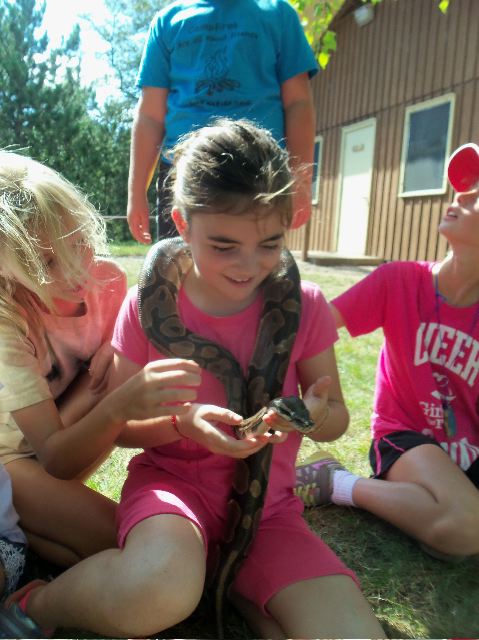 Summer Camp Science