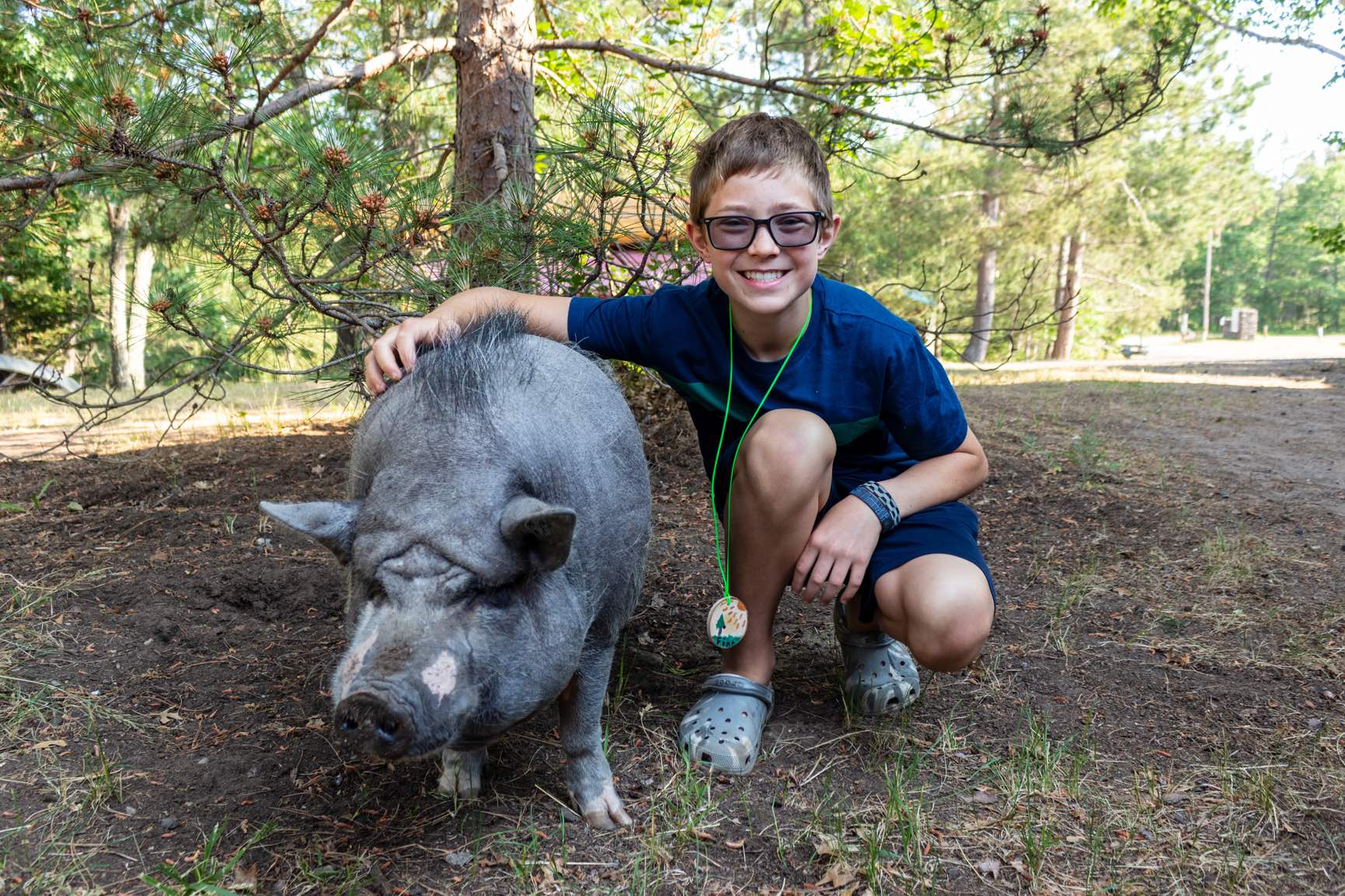 Animal Summer Camp